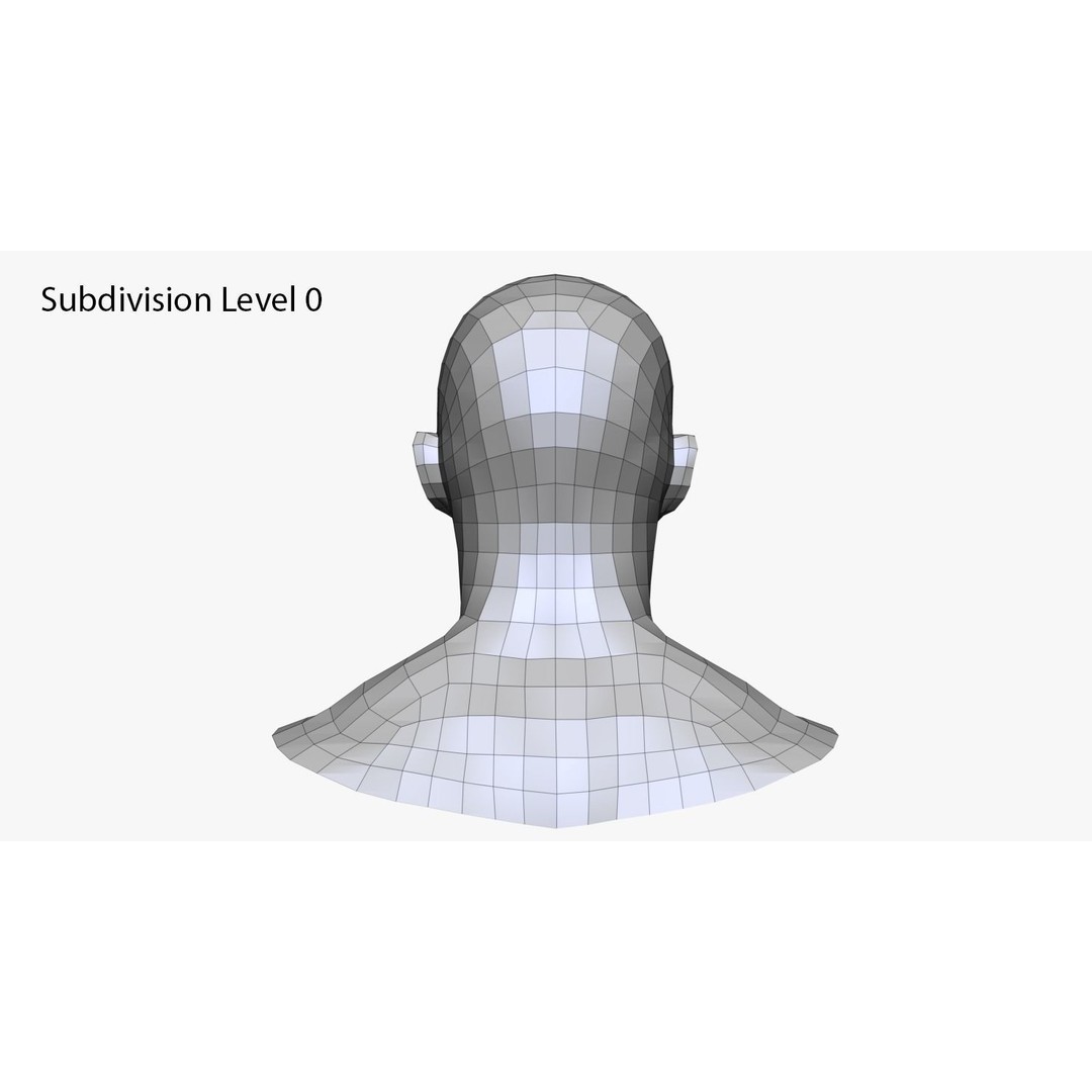 Realistic Male and Female Head 3D Model – High Poly ZBrush Anatomy - View 23