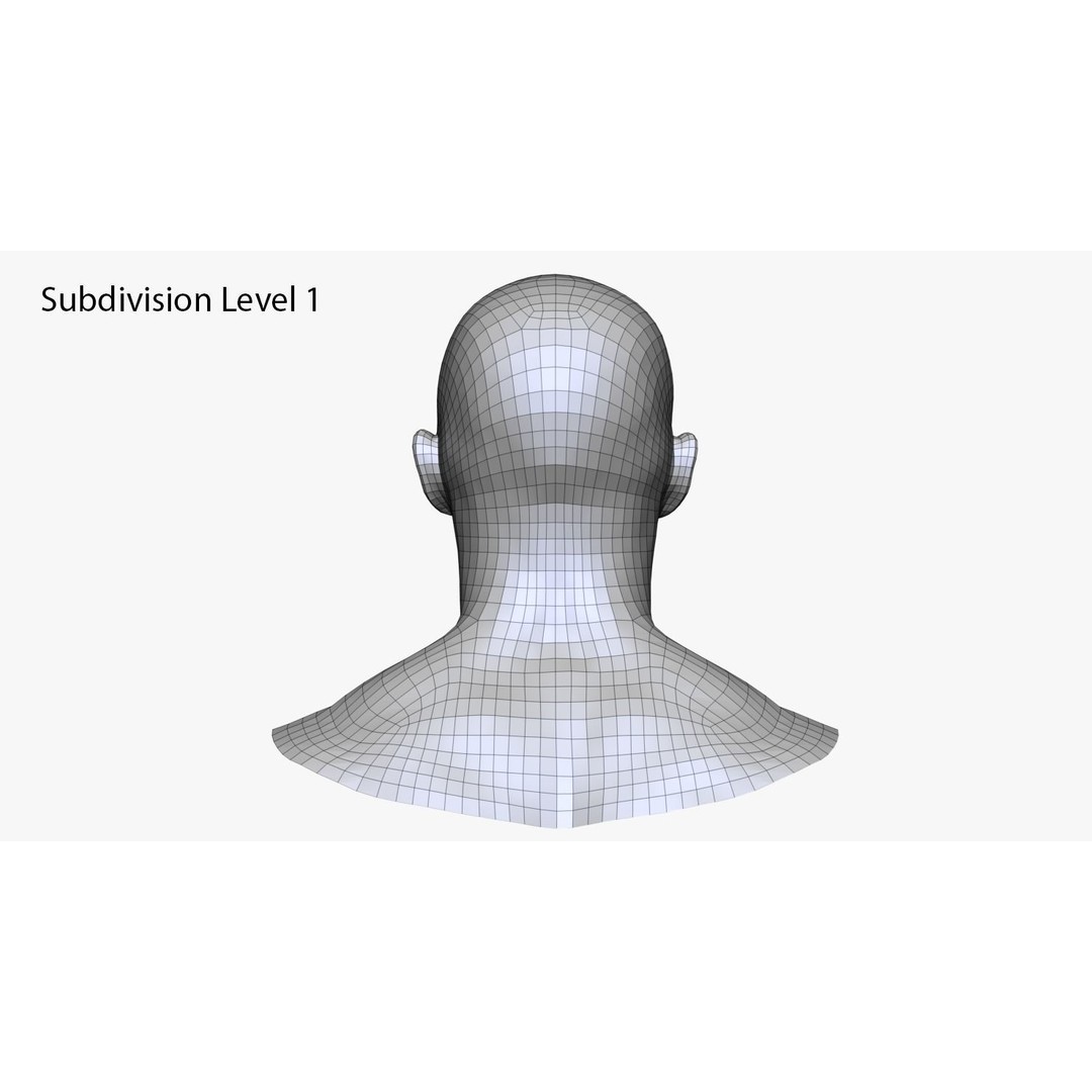 Realistic Male and Female Head 3D Model – High Poly ZBrush Anatomy - View 25