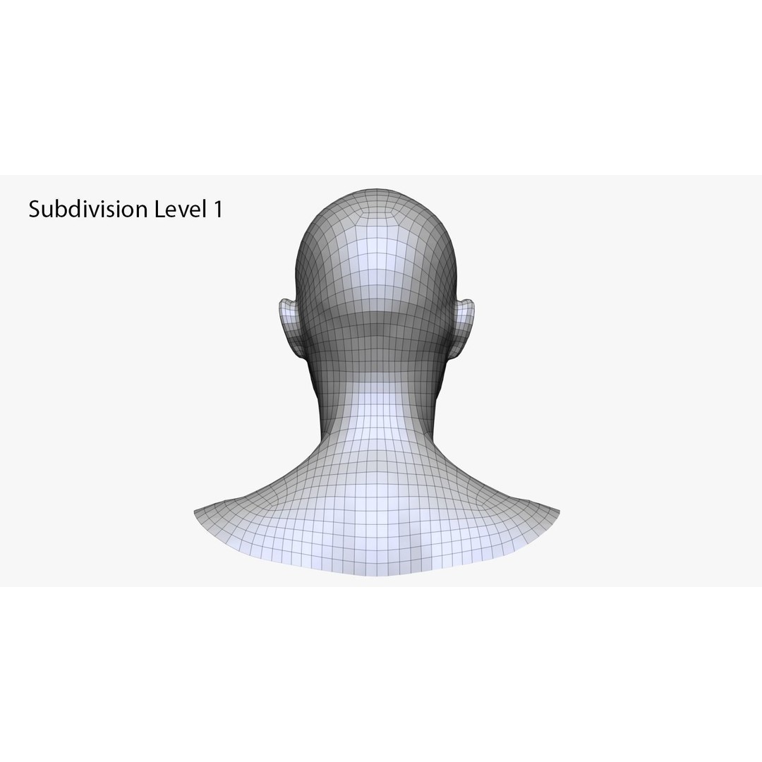 Realistic Male and Female Head 3D Model – High Poly ZBrush Anatomy - View 26