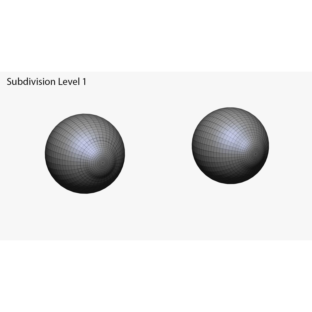 Realistic Male and Female Head 3D Model – High Poly ZBrush Anatomy - View 28