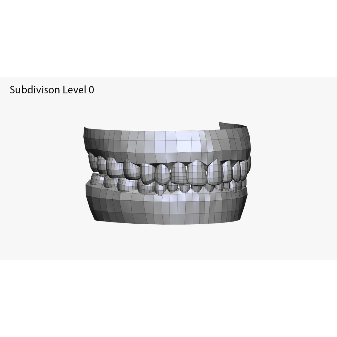 Realistic Male and Female Head 3D Model – High Poly ZBrush Anatomy - View 29