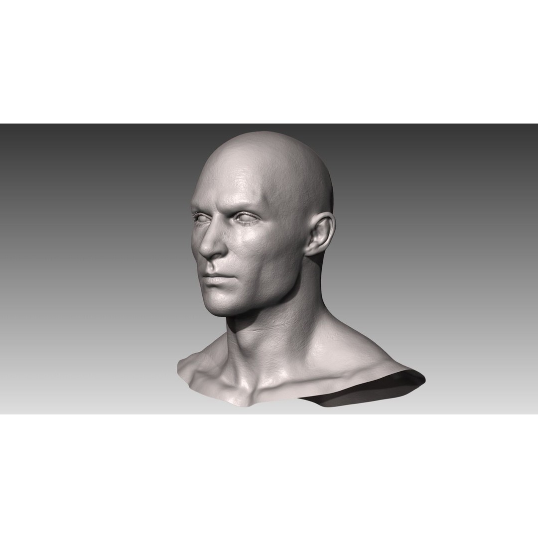 Realistic Male and Female Head 3D Model – High Poly ZBrush Anatomy - View 5