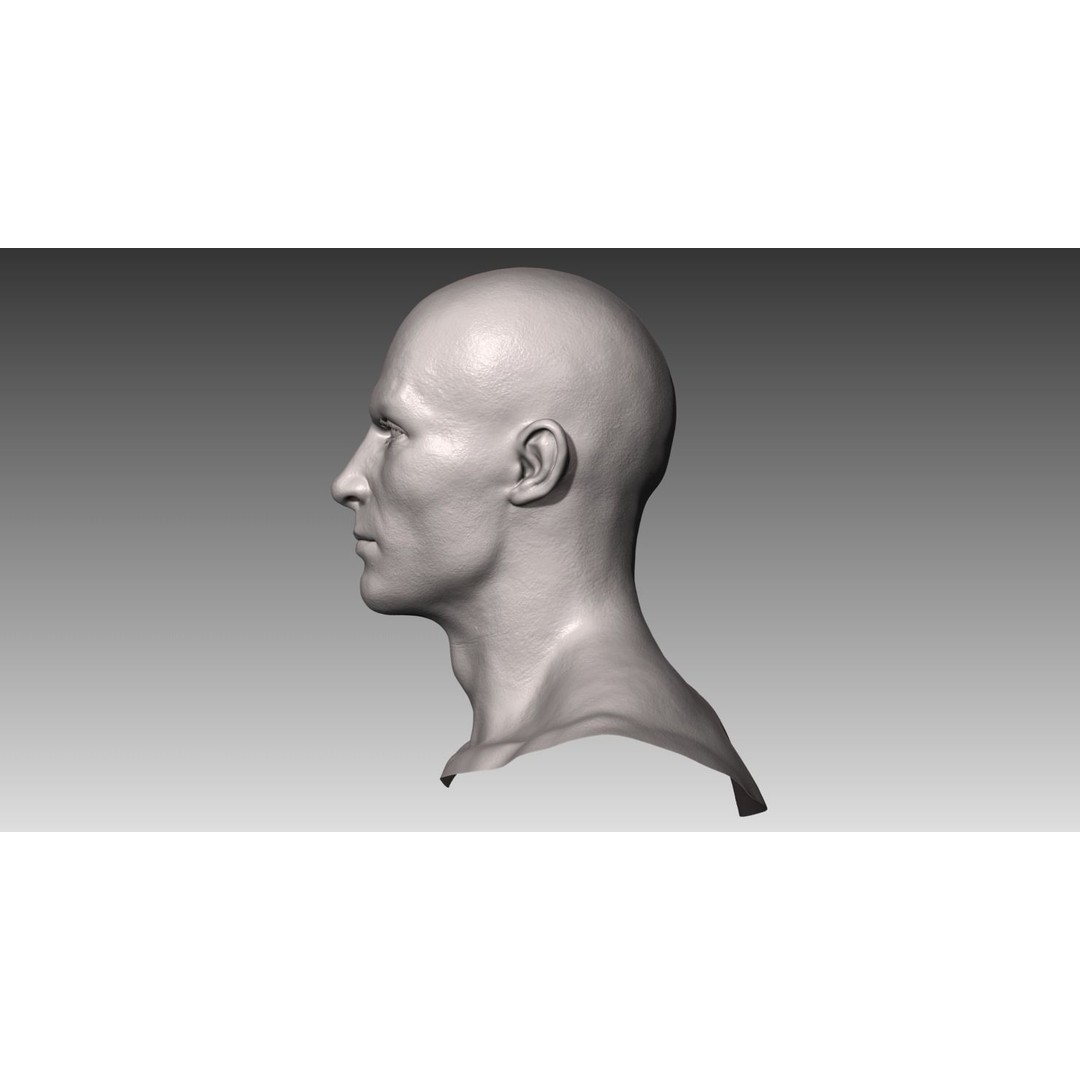 Realistic Male and Female Head 3D Model – High Poly ZBrush Anatomy - View 7