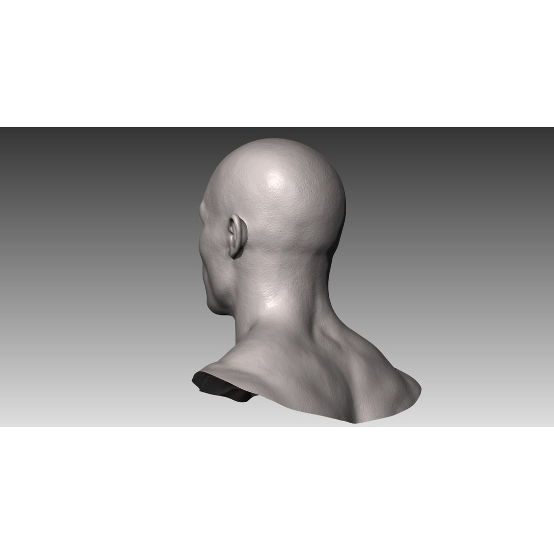 Realistic Male and Female Head 3D Model – High Poly ZBrush Anatomy - View 9
