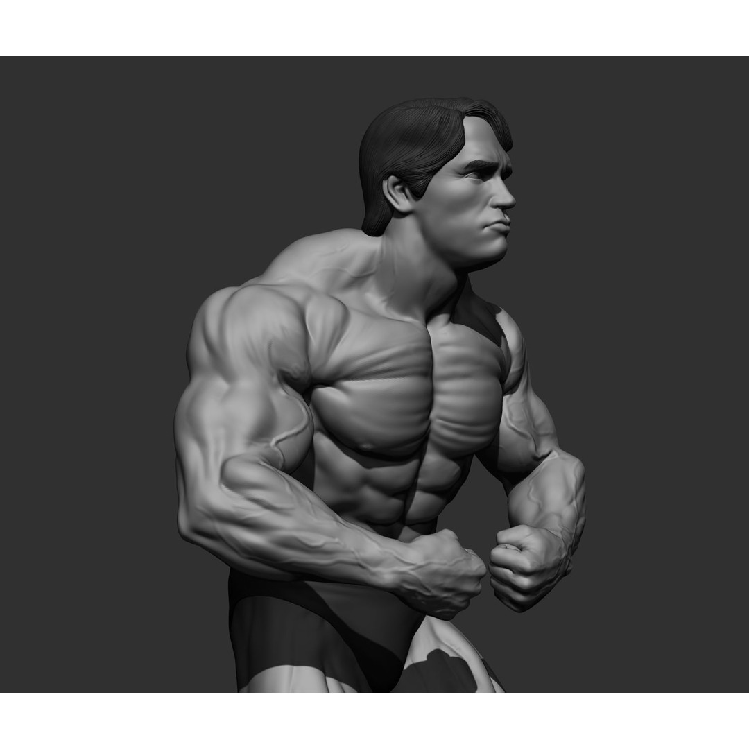 Arnold Schwarzenegger 3D Model – High Poly Character Asset, ZBrush, OBJ