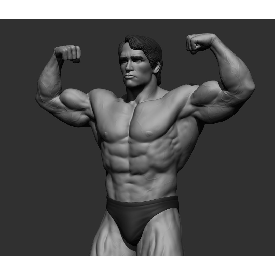 Arnold Schwarzenegger 3D Model – High Poly Character Asset, ZBrush, OBJ - View 10