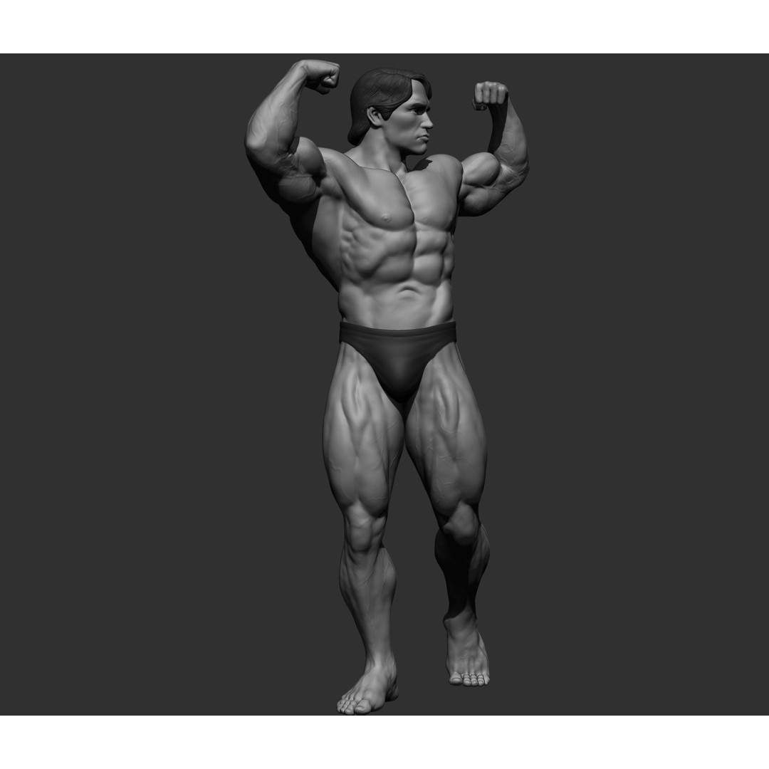Arnold Schwarzenegger 3D Model – High Poly Character Asset, ZBrush, OBJ - View 11