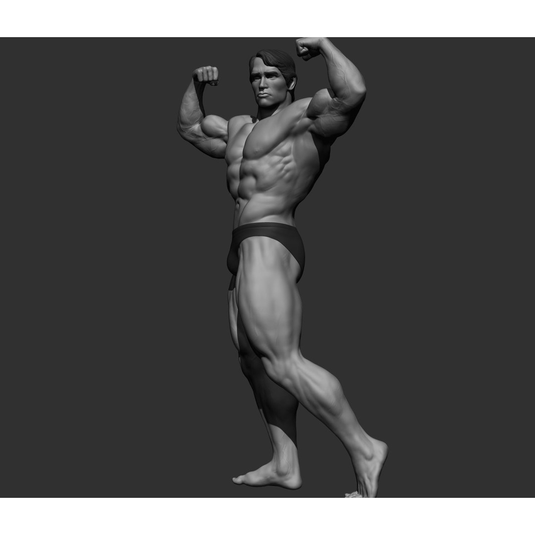 Arnold Schwarzenegger 3D Model – High Poly Character Asset, ZBrush, OBJ - View 13