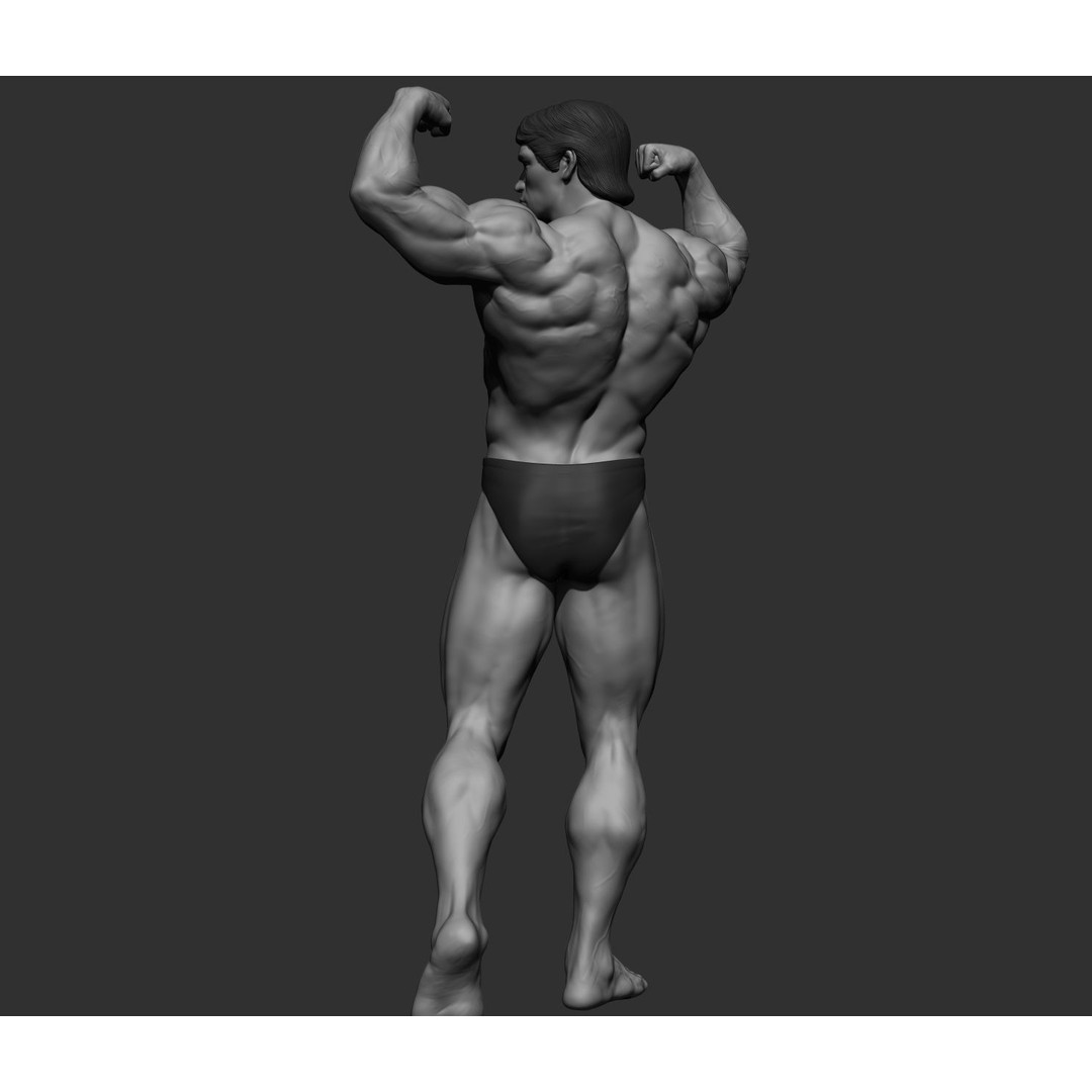 Arnold Schwarzenegger 3D Model – High Poly Character Asset, ZBrush, OBJ - View 14