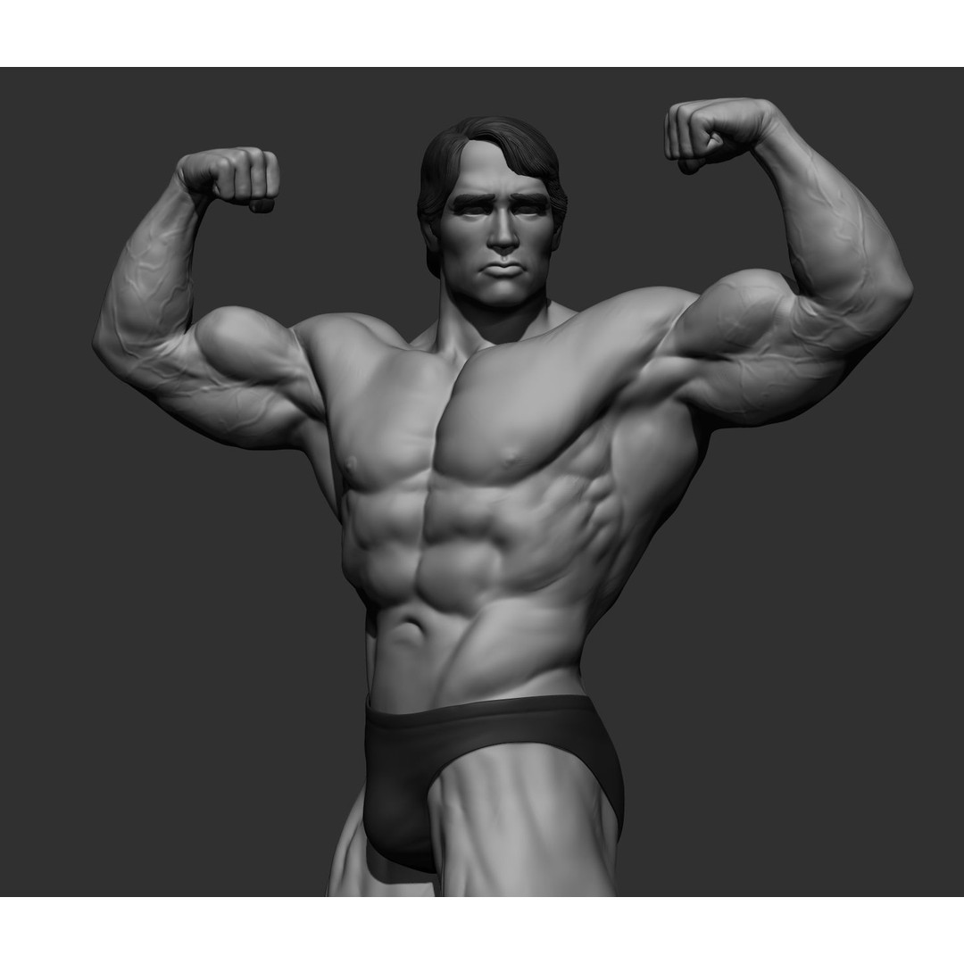 Arnold Schwarzenegger 3D Model – High Poly Character Asset, ZBrush, OBJ - View 17
