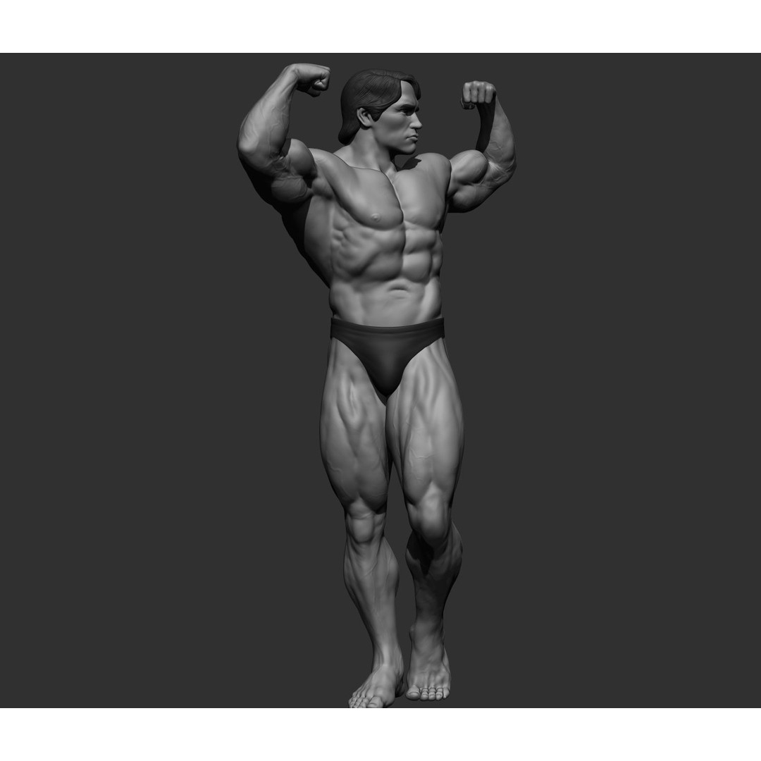 Arnold Schwarzenegger 3D Model – High Poly Character Asset, ZBrush, OBJ - View 18