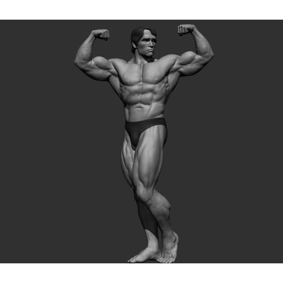 Arnold Schwarzenegger 3D Model – High Poly Character Asset, ZBrush, OBJ - View 19