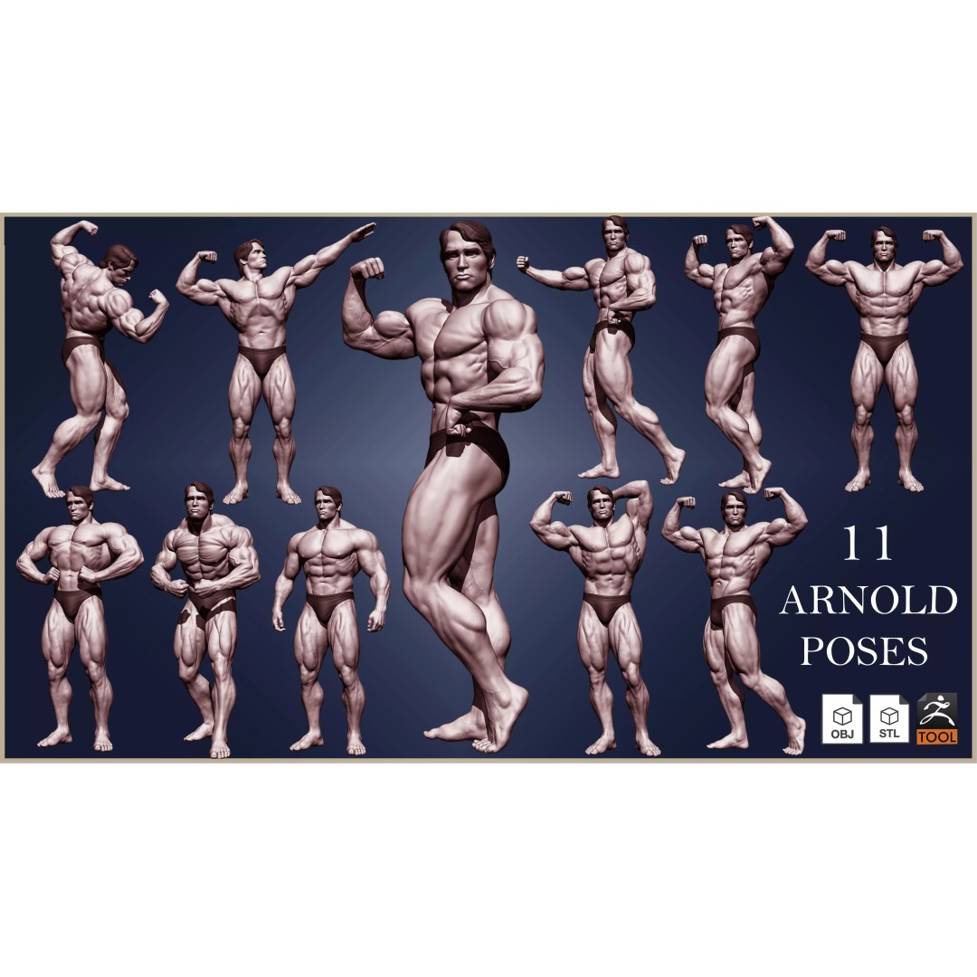 Arnold Schwarzenegger 3D Model – High Poly Character Asset, ZBrush, OBJ - View 2