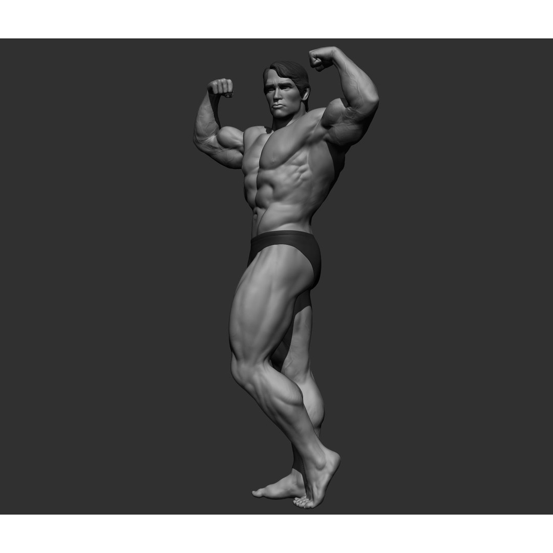 Arnold Schwarzenegger 3D Model – High Poly Character Asset, ZBrush, OBJ - View 20