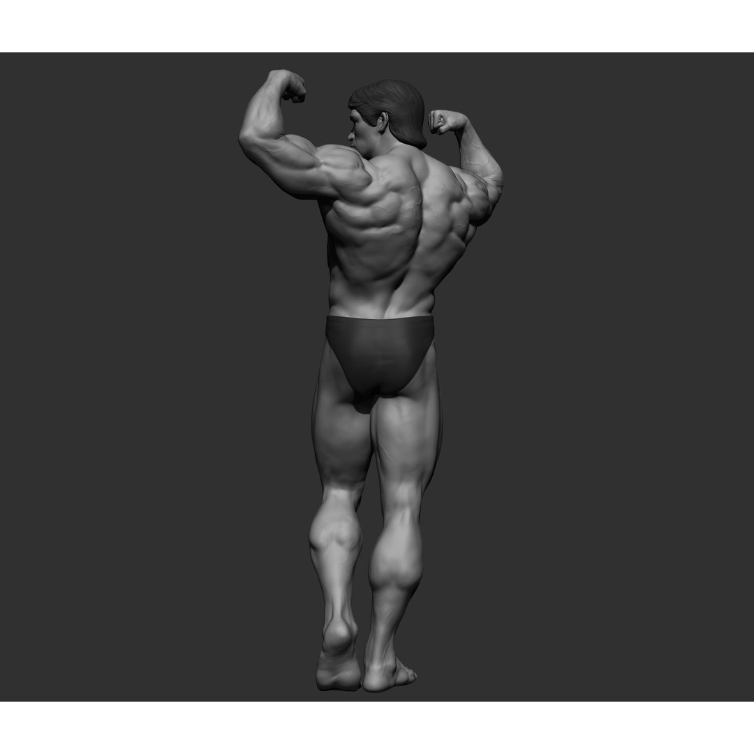 Arnold Schwarzenegger 3D Model – High Poly Character Asset, ZBrush, OBJ - View 21