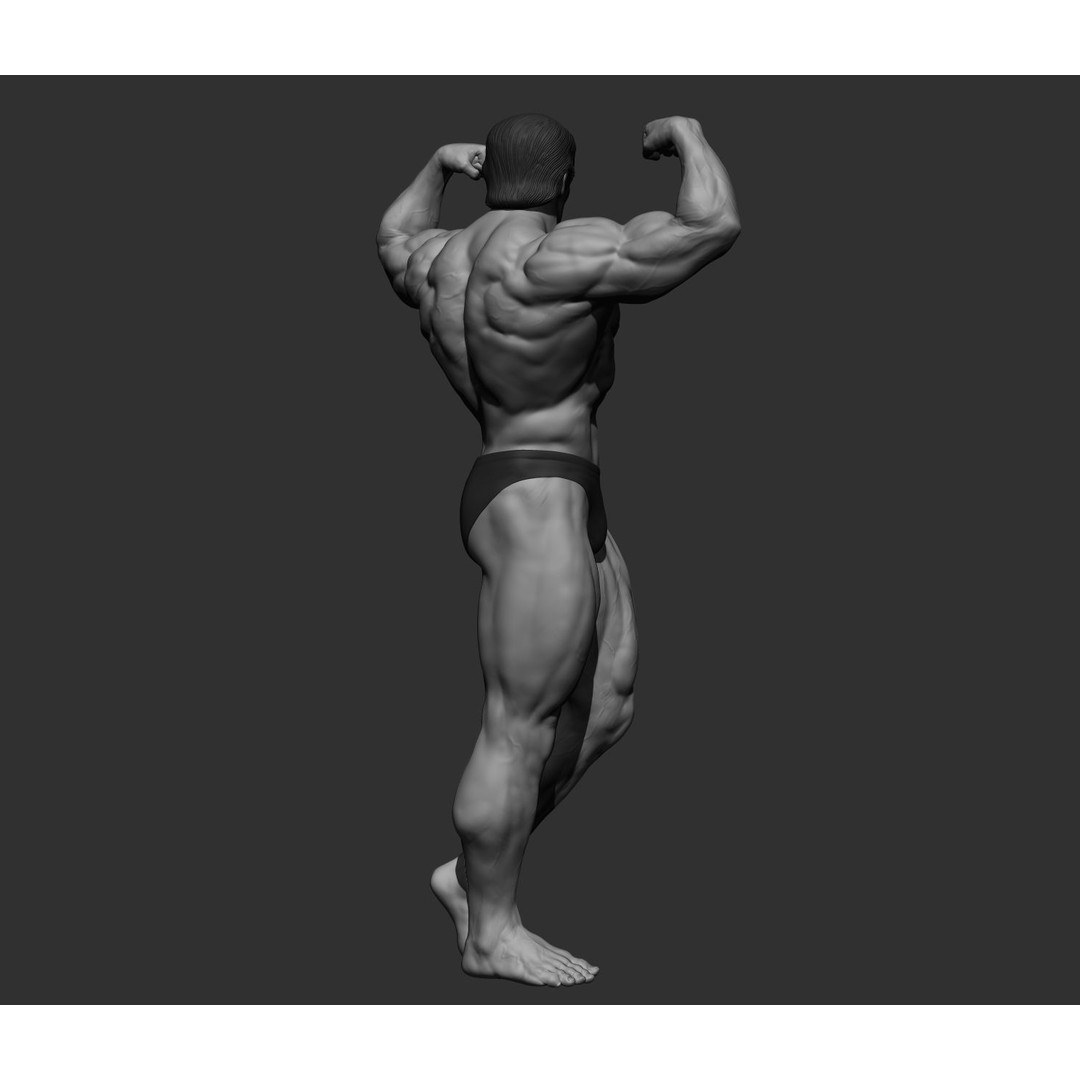Arnold Schwarzenegger 3D Model – High Poly Character Asset, ZBrush, OBJ - View 22