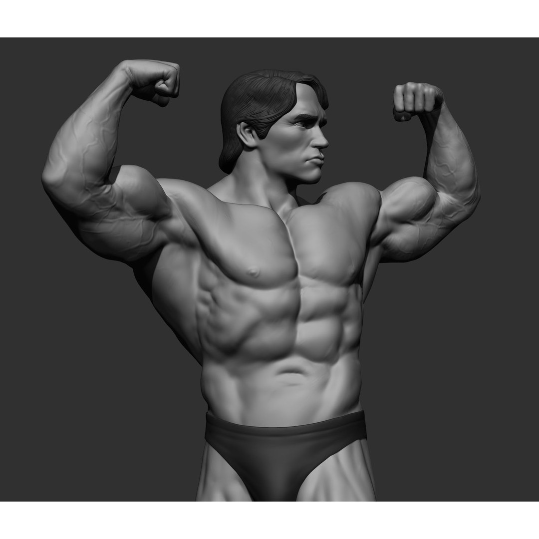 Arnold Schwarzenegger 3D Model – High Poly Character Asset, ZBrush, OBJ - View 24