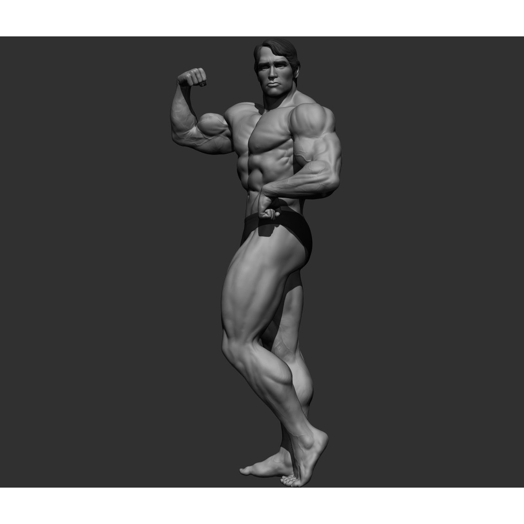 Arnold Schwarzenegger 3D Model – High Poly Character Asset, ZBrush, OBJ - View 25