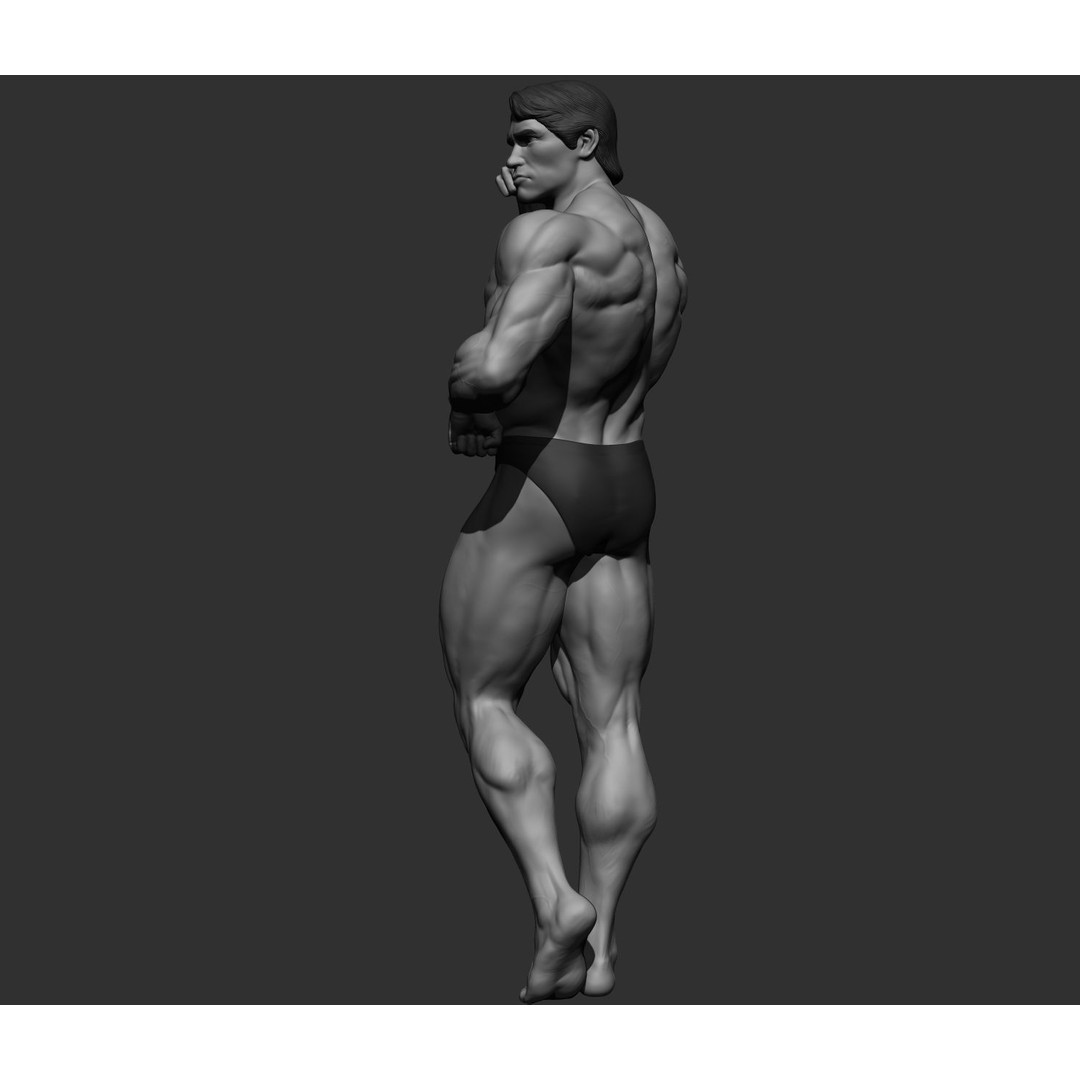Arnold Schwarzenegger 3D Model – High Poly Character Asset, ZBrush, OBJ - View 26