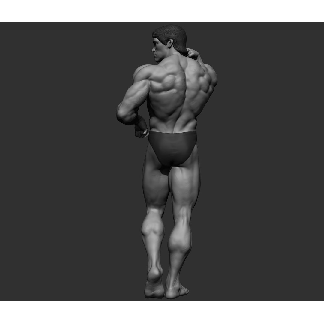 Arnold Schwarzenegger 3D Model – High Poly Character Asset, ZBrush, OBJ - View 27