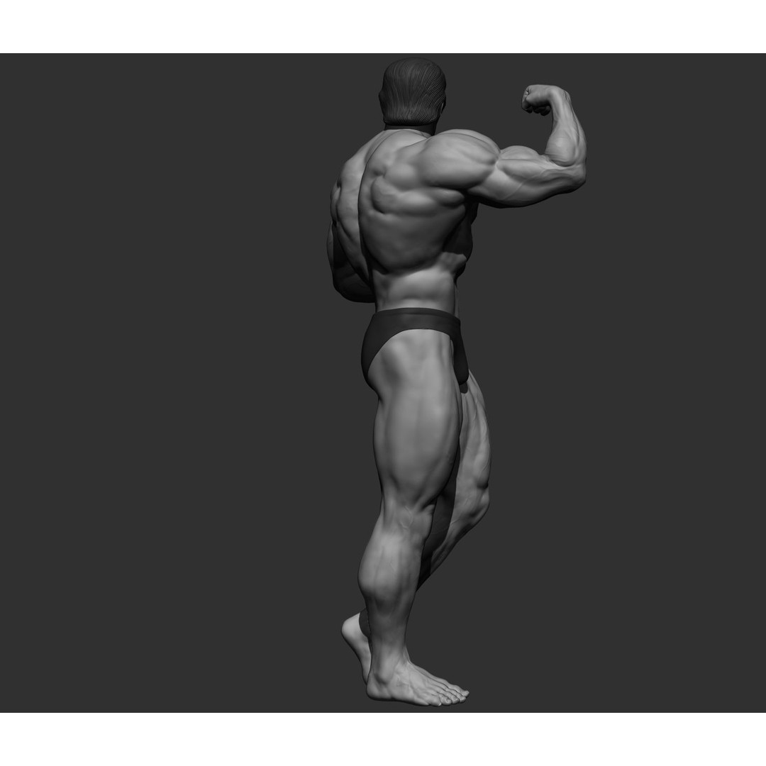 Arnold Schwarzenegger 3D Model – High Poly Character Asset, ZBrush, OBJ - View 28