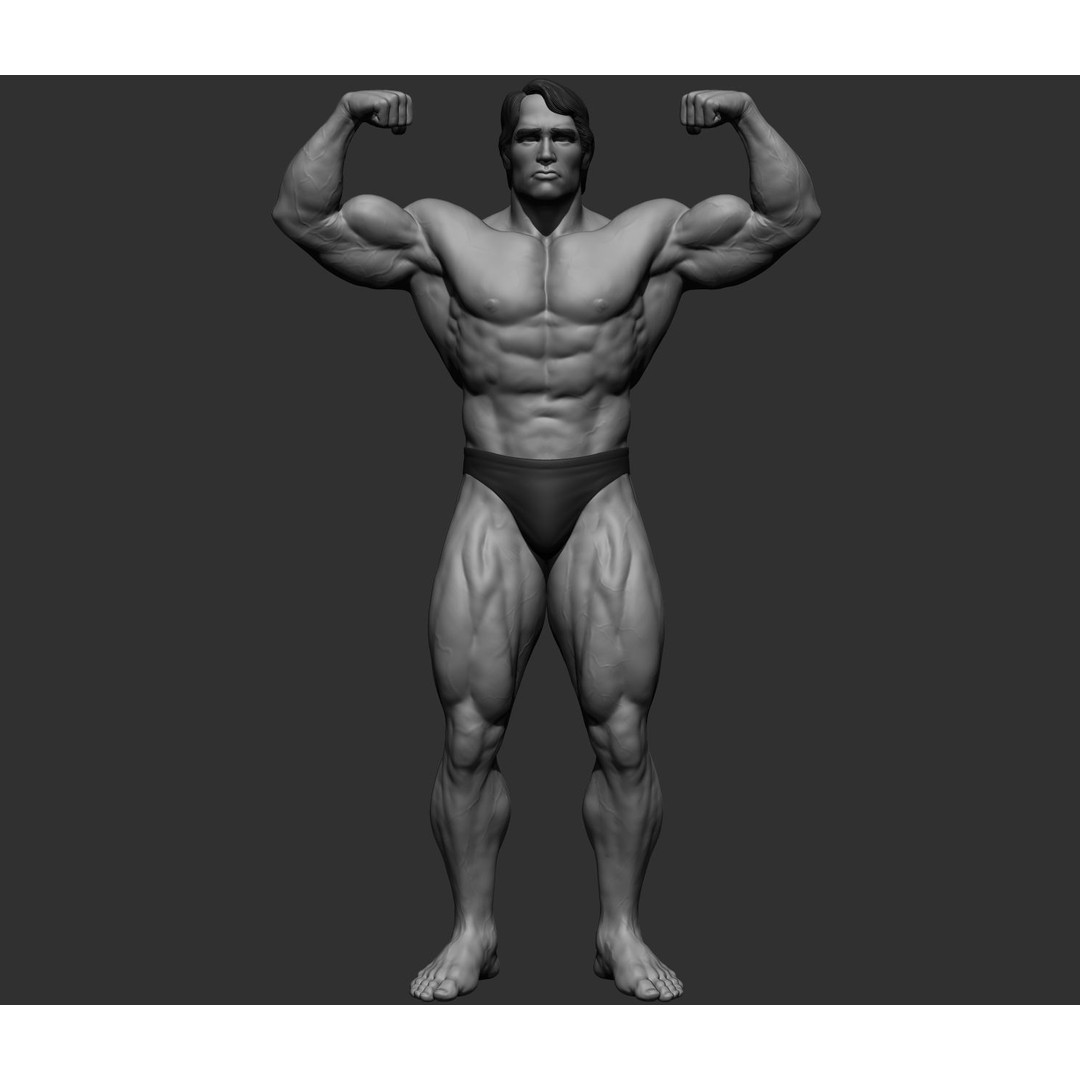 Arnold Schwarzenegger 3D Model – High Poly Character Asset, ZBrush, OBJ - View 3