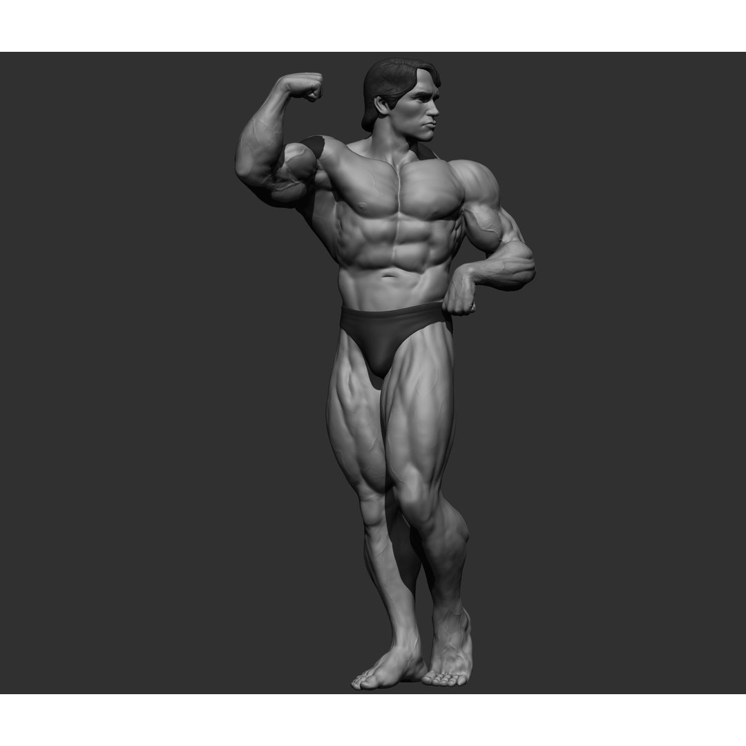 Arnold Schwarzenegger 3D Model – High Poly Character Asset, ZBrush, OBJ - View 31