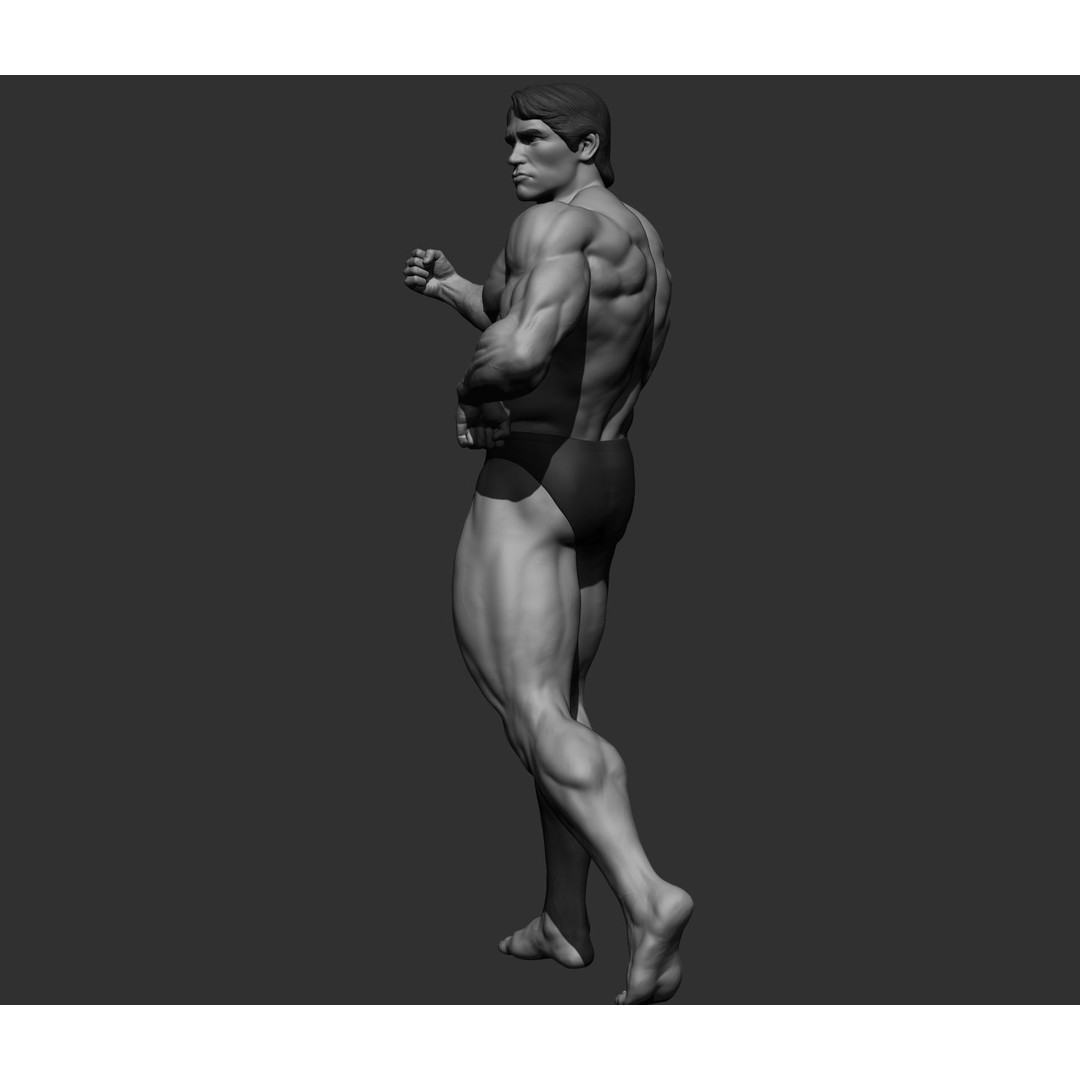Arnold Schwarzenegger 3D Model – High Poly Character Asset, ZBrush, OBJ - View 34