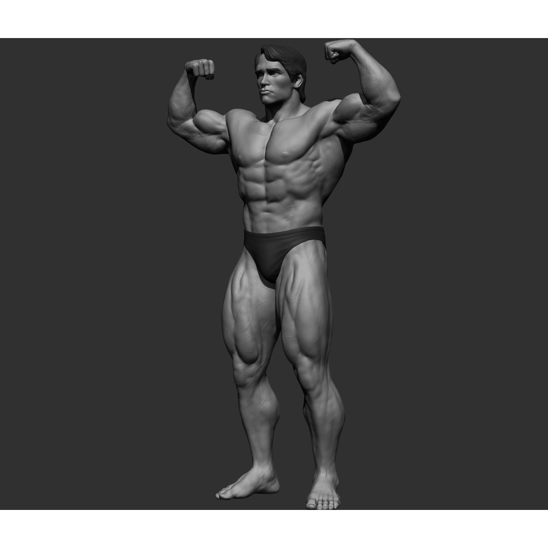 Arnold Schwarzenegger 3D Model – High Poly Character Asset, ZBrush, OBJ - View 4
