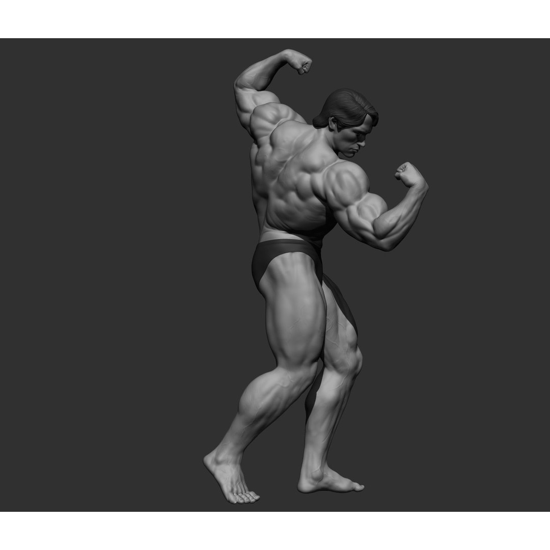 Arnold Schwarzenegger 3D Model – High Poly Character Asset, ZBrush, OBJ - View 46