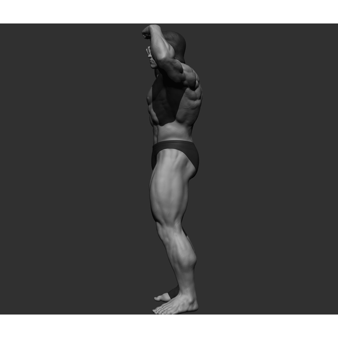 Arnold Schwarzenegger 3D Model – High Poly Character Asset, ZBrush, OBJ - View 5