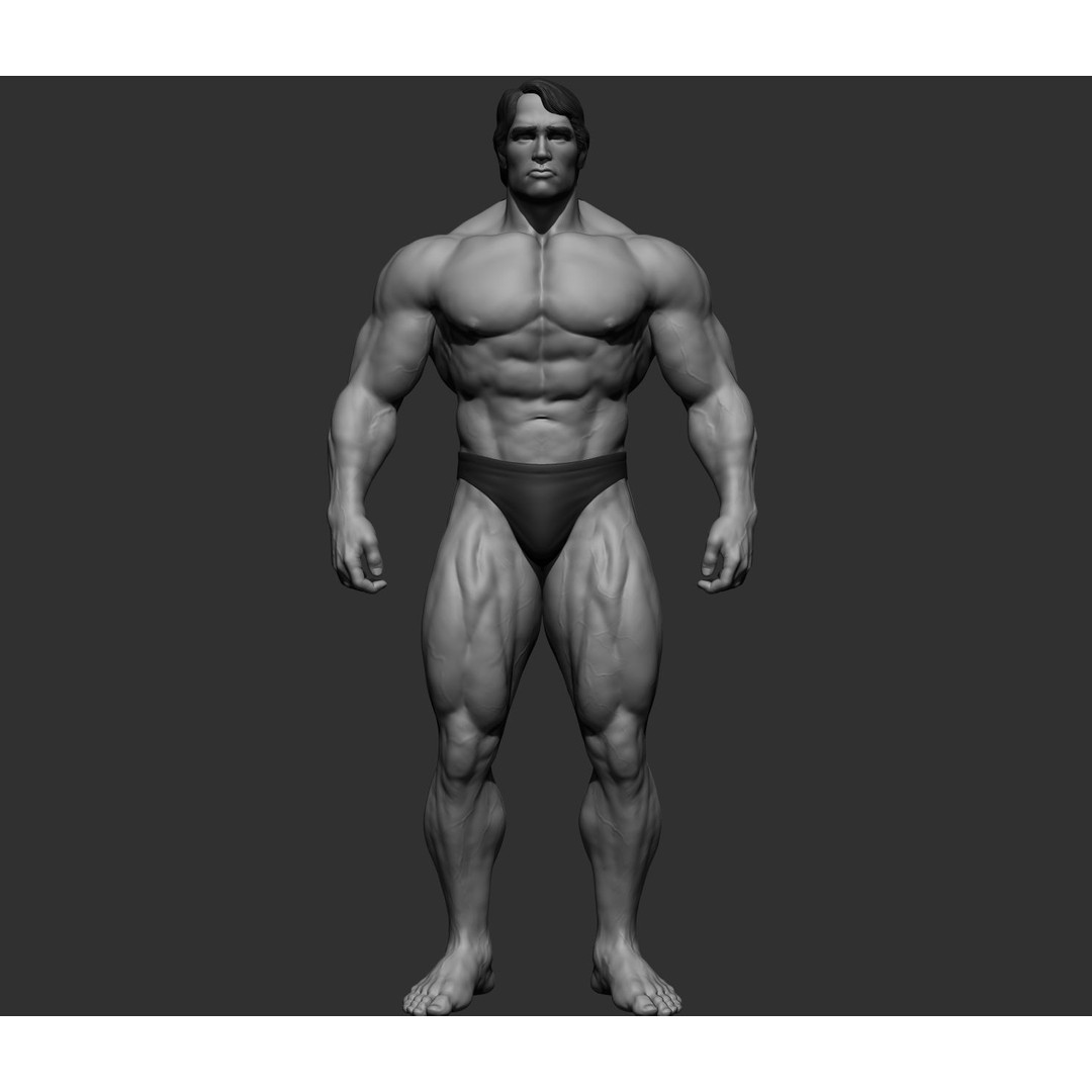 Arnold Schwarzenegger 3D Model – High Poly Character Asset, ZBrush, OBJ - View 50