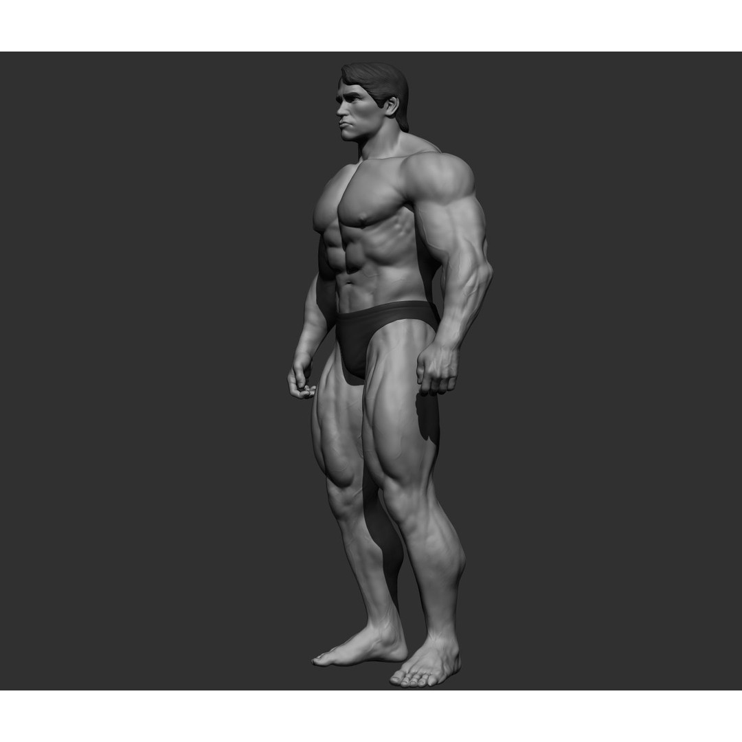 Arnold Schwarzenegger 3D Model – High Poly Character Asset, ZBrush, OBJ - View 52