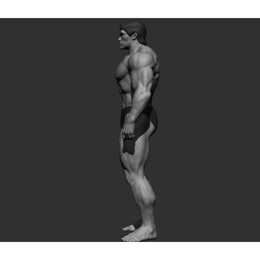 Arnold Schwarzenegger 3D Model – High Poly Character Asset, ZBrush, OBJ - View 53