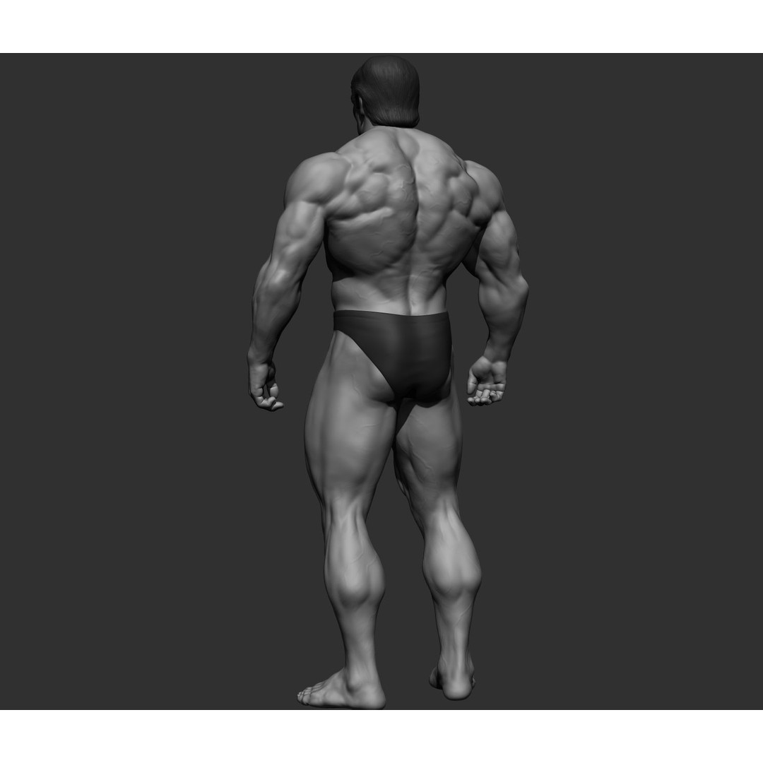 Arnold Schwarzenegger 3D Model – High Poly Character Asset, ZBrush, OBJ - View 54
