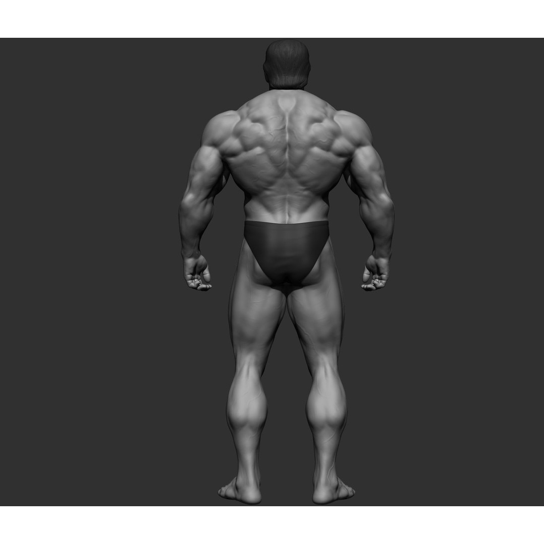Arnold Schwarzenegger 3D Model – High Poly Character Asset, ZBrush, OBJ - View 55