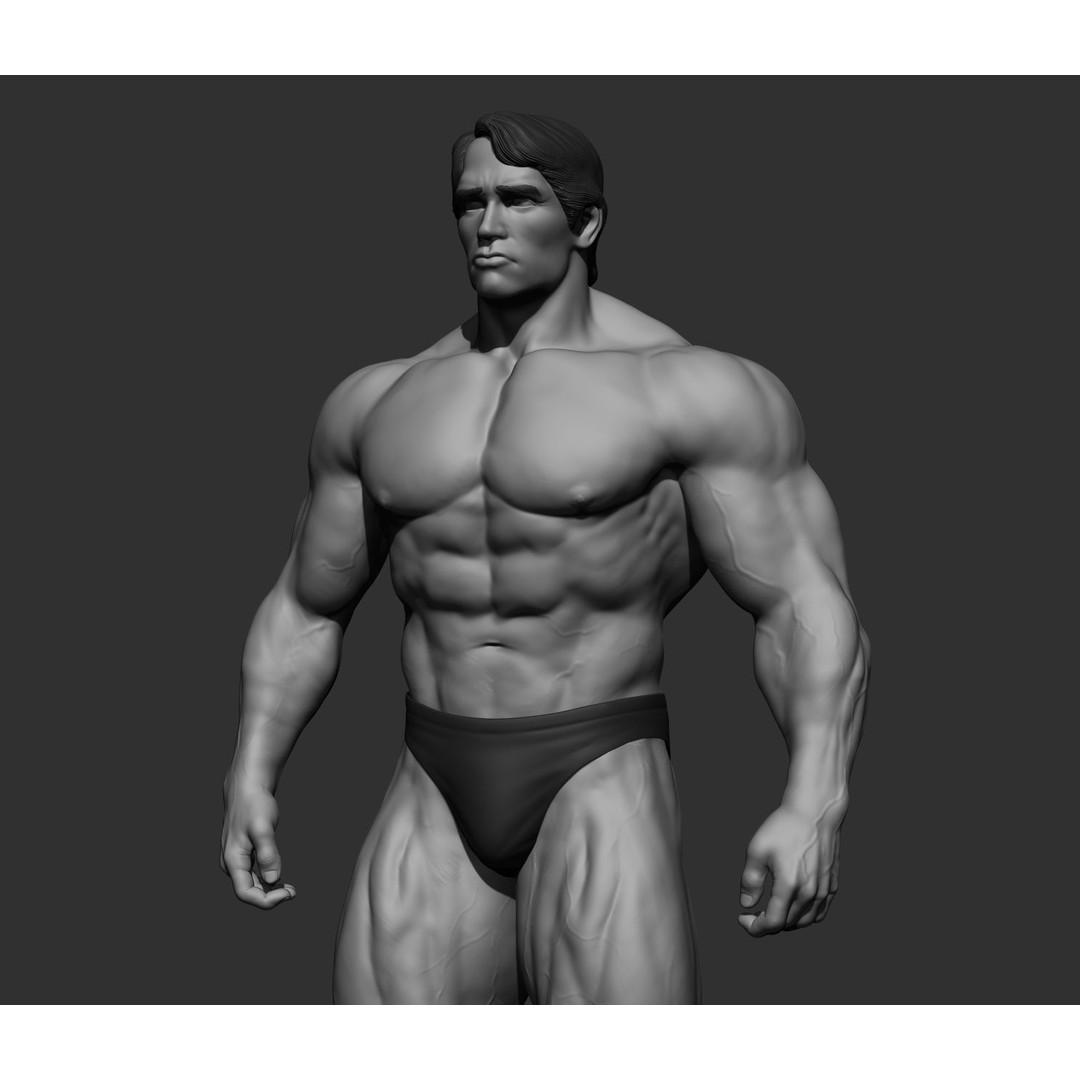 Arnold Schwarzenegger 3D Model – High Poly Character Asset, ZBrush, OBJ - View 57