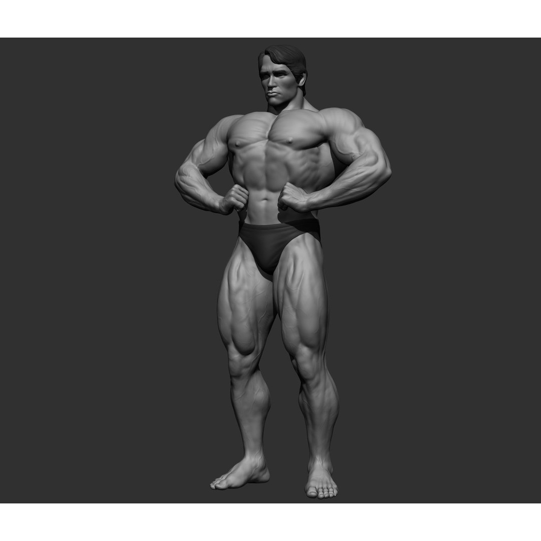 Arnold Schwarzenegger 3D Model – High Poly Character Asset, ZBrush, OBJ - View 59