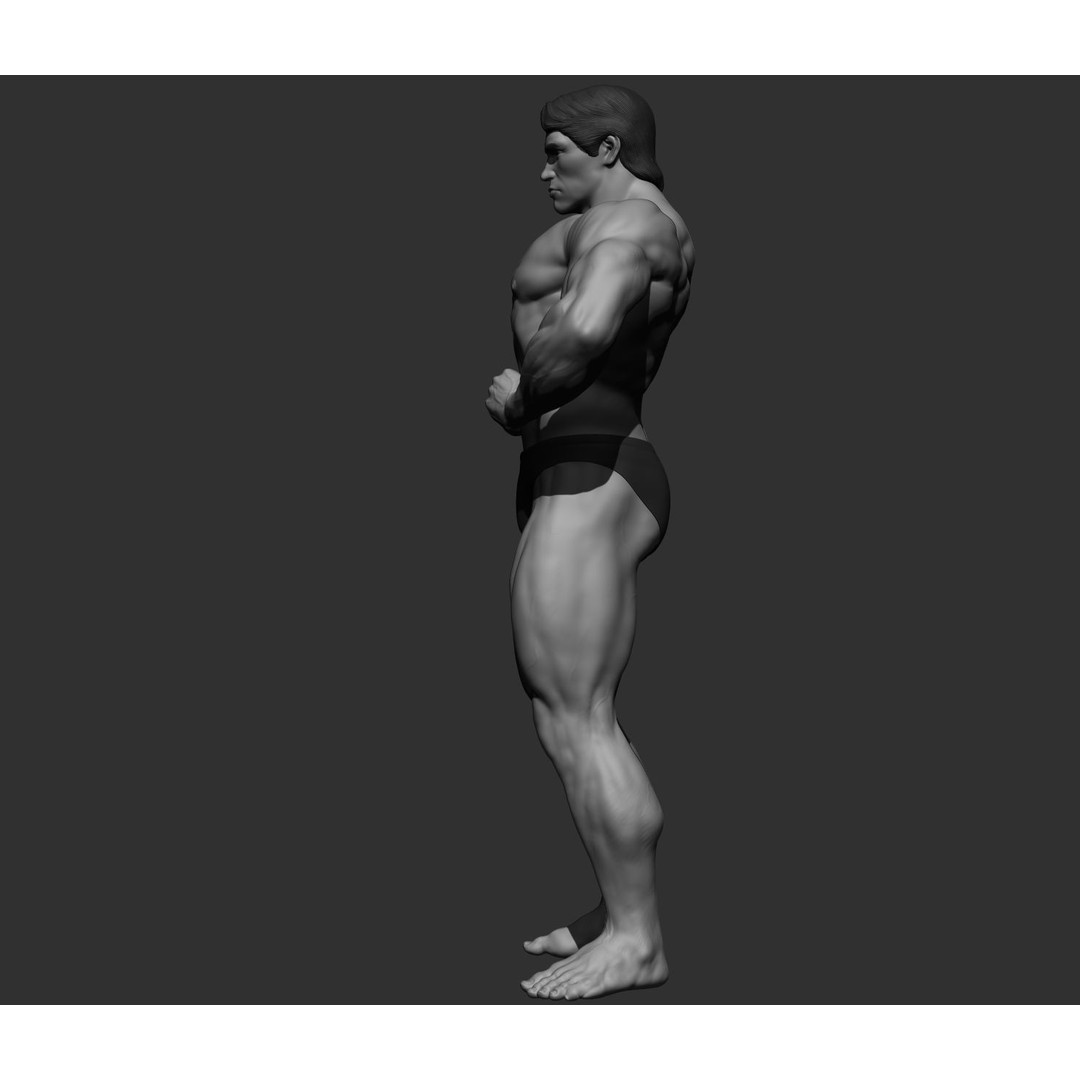Arnold Schwarzenegger 3D Model – High Poly Character Asset, ZBrush, OBJ - View 60
