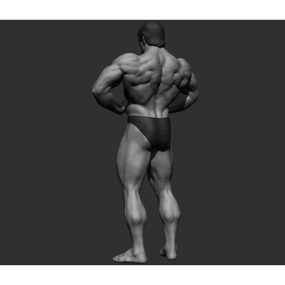 Arnold Schwarzenegger 3D Model – High Poly Character Asset, ZBrush, OBJ - View 61