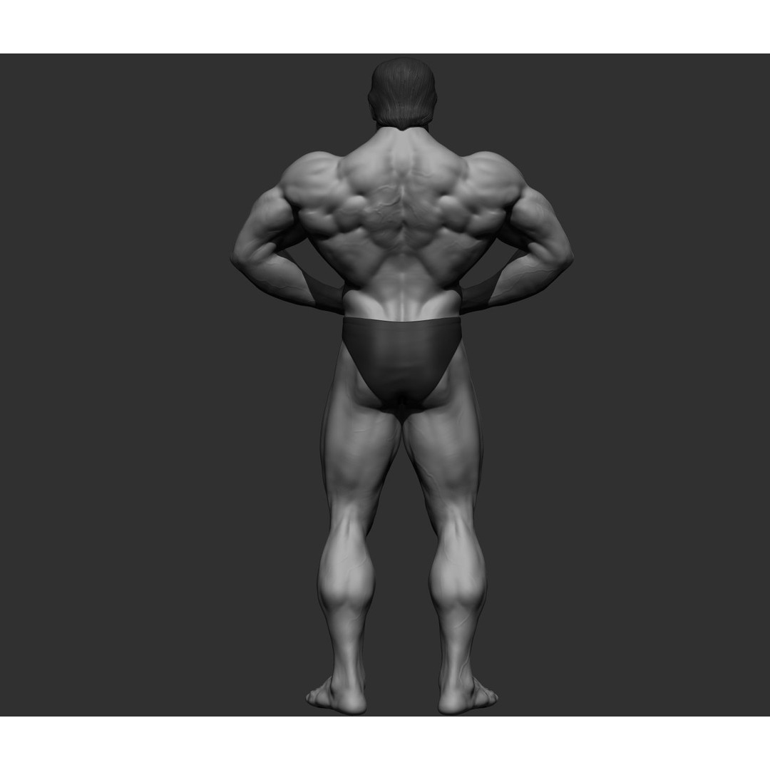 Arnold Schwarzenegger 3D Model – High Poly Character Asset, ZBrush, OBJ - View 62