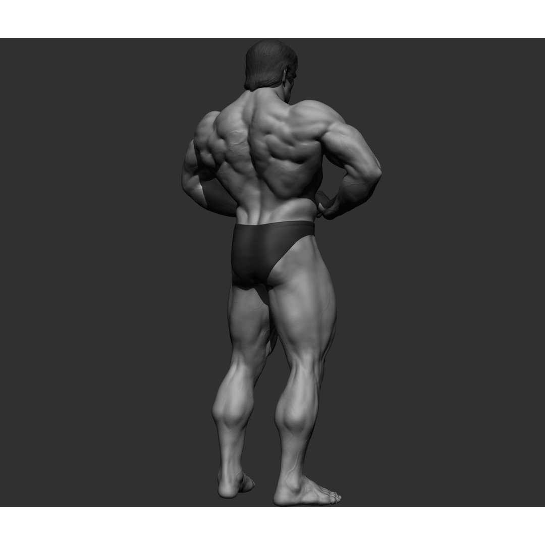 Arnold Schwarzenegger 3D Model – High Poly Character Asset, ZBrush, OBJ - View 63