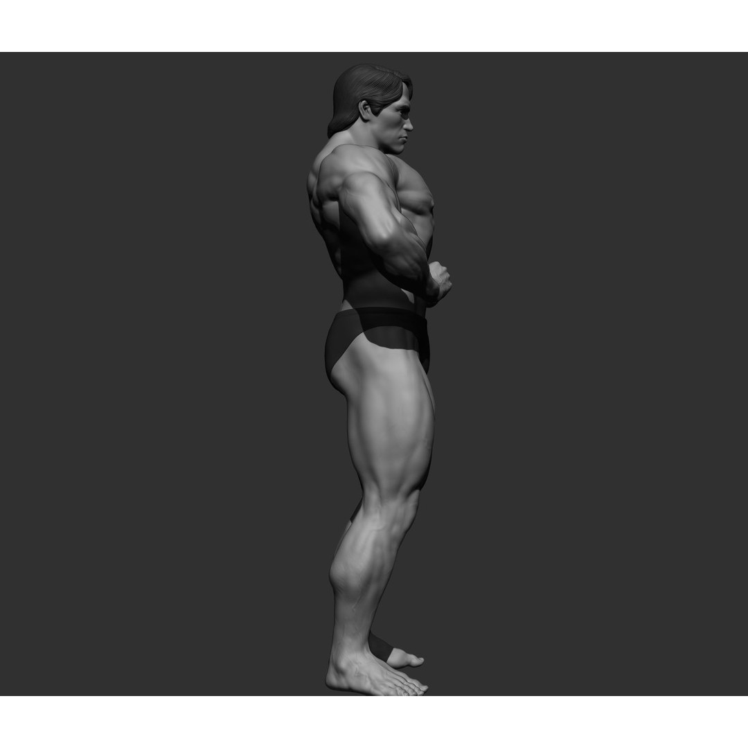 Arnold Schwarzenegger 3D Model – High Poly Character Asset, ZBrush, OBJ - View 64