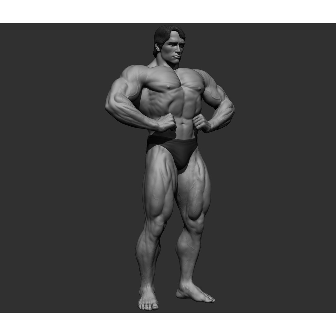 Arnold Schwarzenegger 3D Model – High Poly Character Asset, ZBrush, OBJ - View 65
