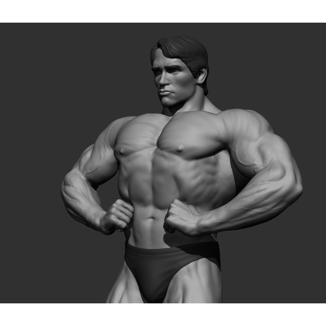 Arnold Schwarzenegger 3D Model – High Poly Character Asset, ZBrush, OBJ - View 66