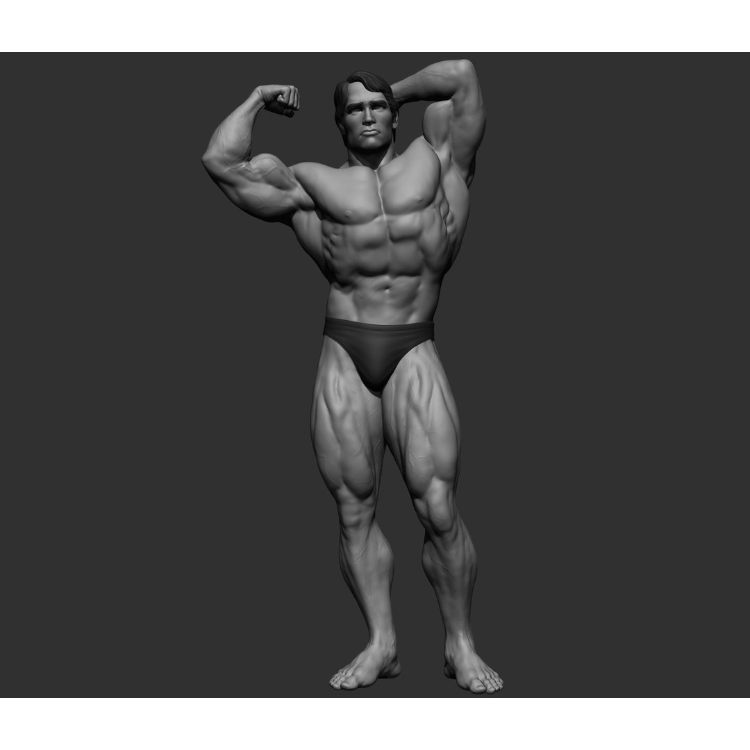 Arnold Schwarzenegger 3D Model – High Poly Character Asset, ZBrush, OBJ - View 68