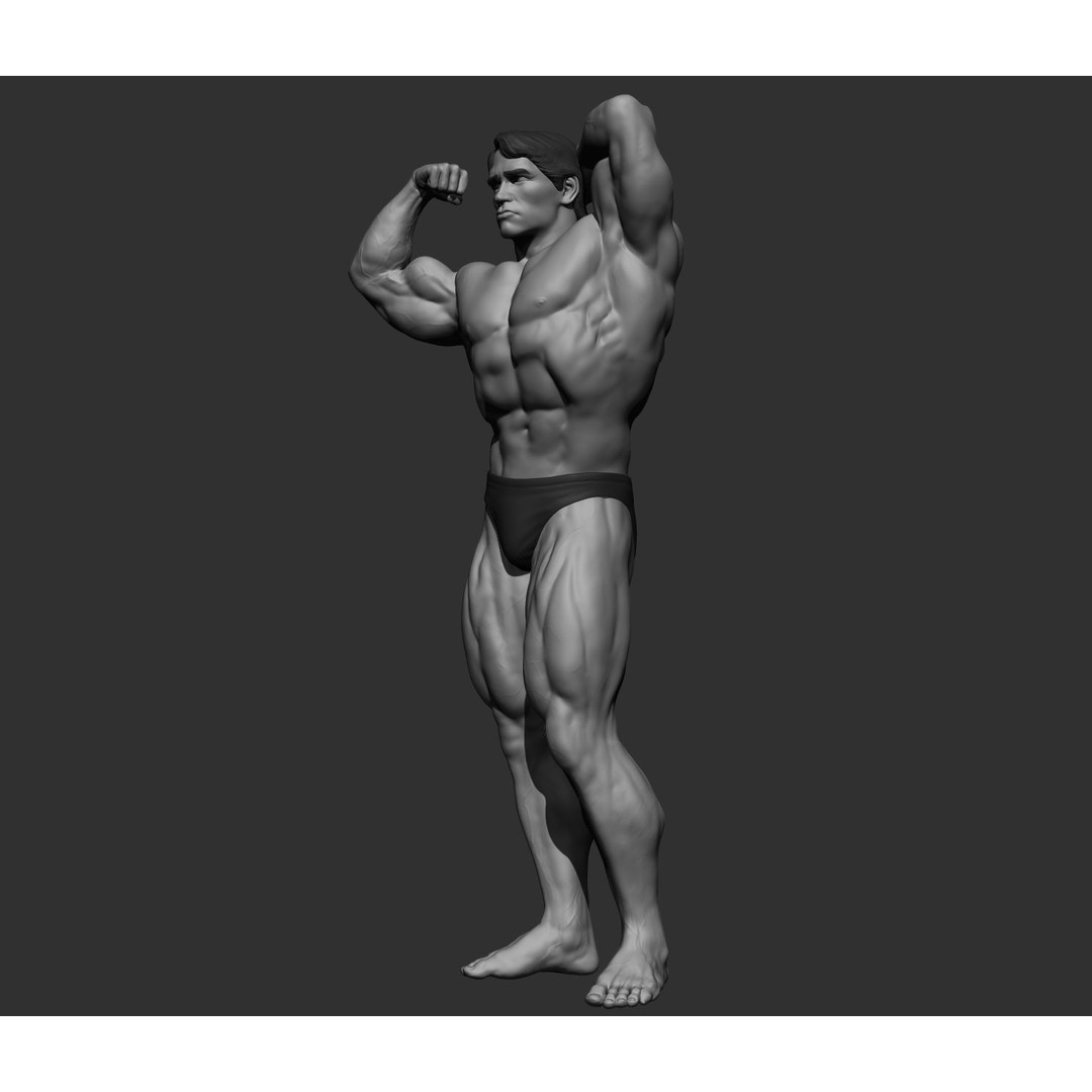 Arnold Schwarzenegger 3D Model – High Poly Character Asset, ZBrush, OBJ - View 69