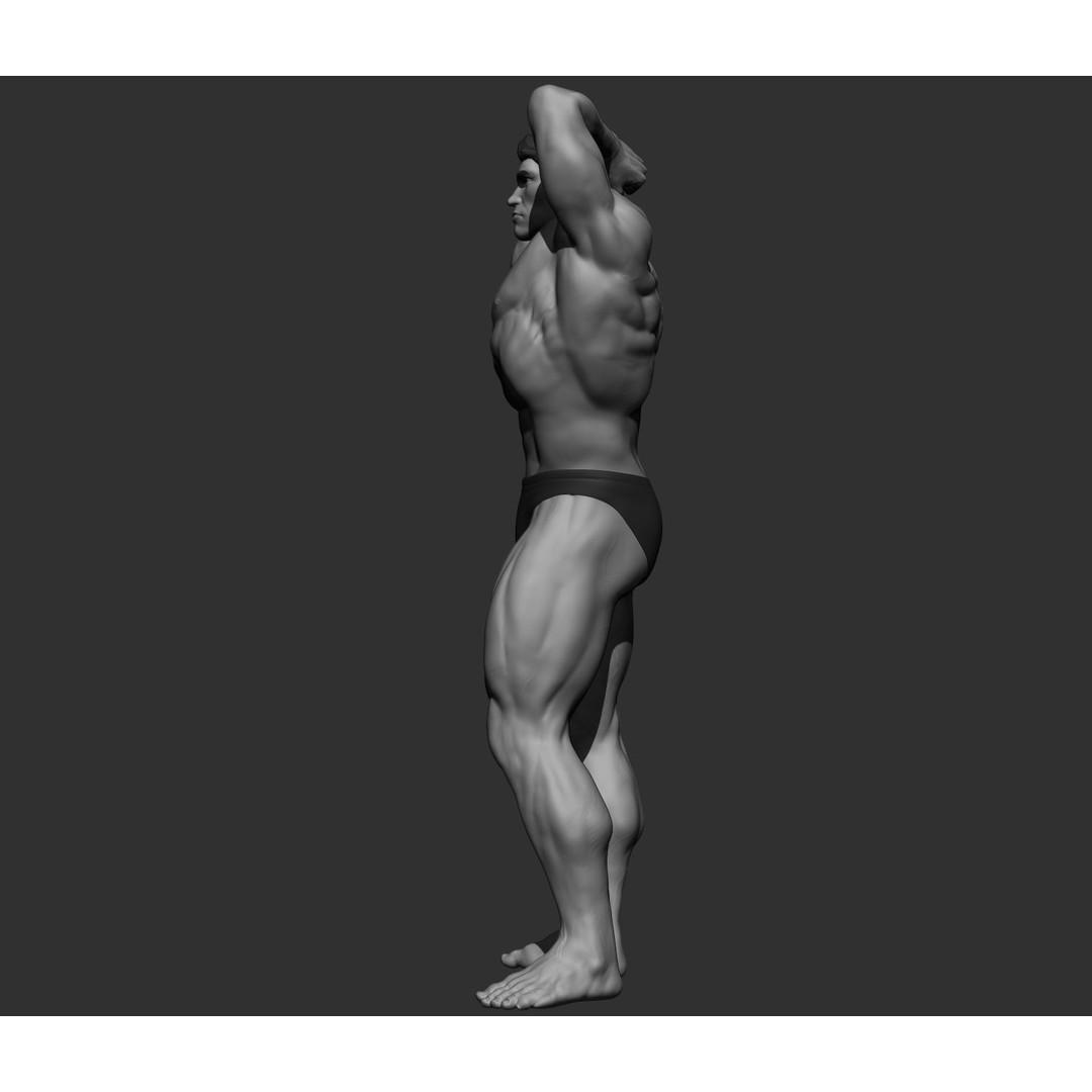 Arnold Schwarzenegger 3D Model – High Poly Character Asset, ZBrush, OBJ - View 70