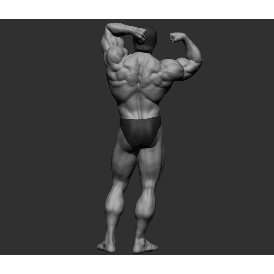 Arnold Schwarzenegger 3D Model – High Poly Character Asset, ZBrush, OBJ - View 71