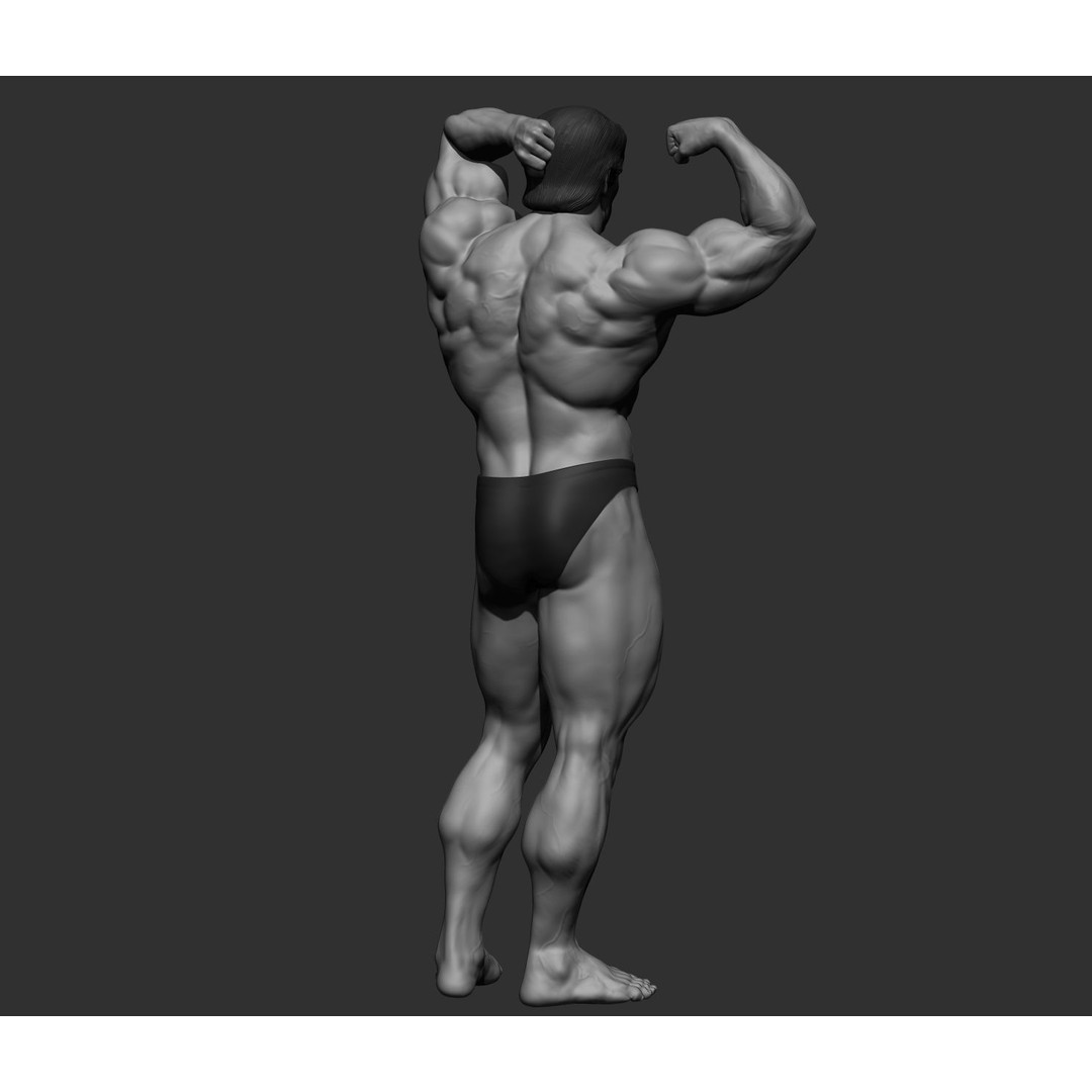 Arnold Schwarzenegger 3D Model – High Poly Character Asset, ZBrush, OBJ - View 72